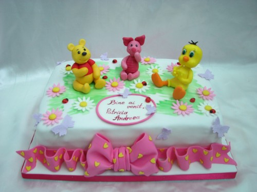 Tort pentru Andreea